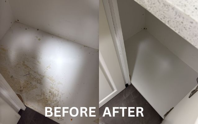 Office cleaning