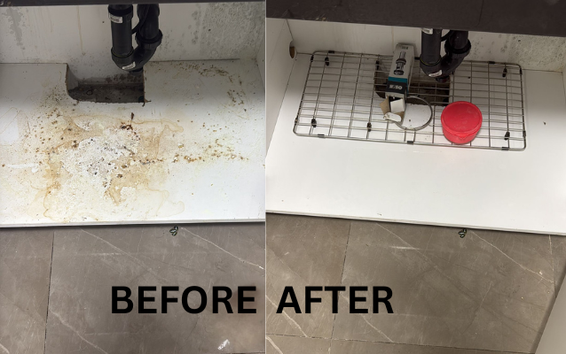 Kitchen cleaning